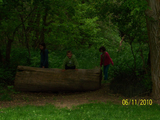 Kelly's Grove in Hobble Creek Canyon